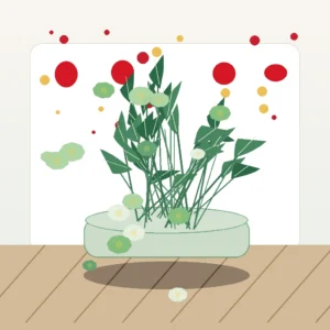 Aranjament Flori Deosebite Verde Urban cu Anthurium Verde și Eucalipt - imagine 3