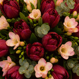 Comandă Buchet Burgundy Note cu Trandafiri Bordo și Astrantia
