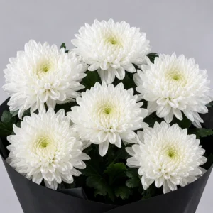 Aranjament floral funerar buchet din crizanteme albe - poza 3