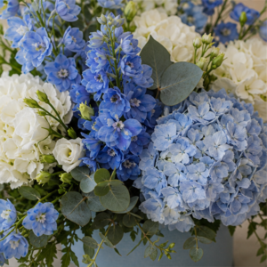 Aranjament Flori Domiciliu București Blue Whisper cu Delphinium și Hortensie - imagine 2