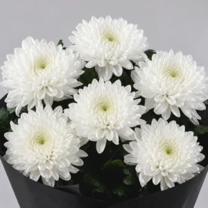 Aranjament Funerar Laurel Calm - imagine 2