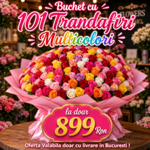 Buchet cu 101 Trandafiri Multicolori – Spectacolul Emoțiilor Într-un Singur Gest