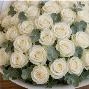 Buchet 51 Trandafiri Albi cu Eucalipt - poza 4
