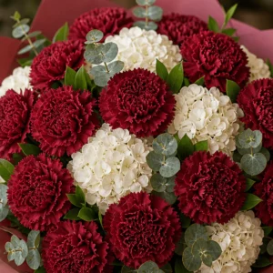 Buchet cu garoafe burgundy si hortensie alba - poza 2