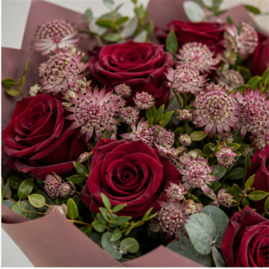 Buchet Domiciliu Burgundy Quiet cu Trandafiri Bordo și Astrantia - imagine 2