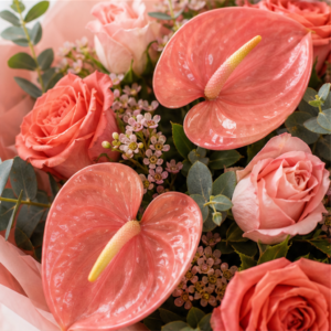 Buchet Flori Acasă Soft Coral cu Anthurium și Trandafiri - imagine 2