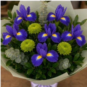 Buchet irisi mov si santini verde - poza 4