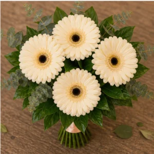 Buchet mireasa piersica delicat cu 5 gerbera crem - poza 4