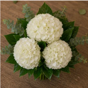Buchet mireasa spectaculos alb verde cu 3 hortensii - poza 4