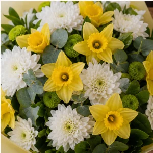 Buchet Narcise luminos cu crizanteme albe - poza 4
