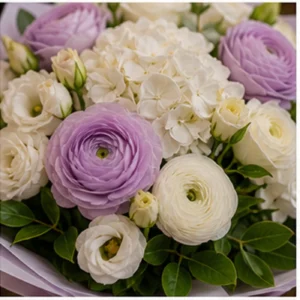 Buchet Ranunculus grandios lila alb - poza 4