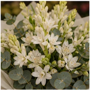 Buchet Tuberoze albe cu eucalipt - poza 4