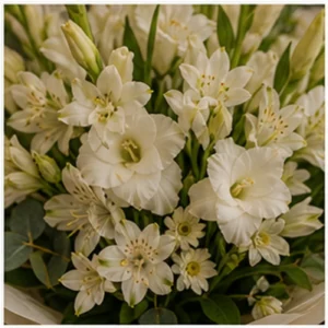 Buchet Tuberoze cu gladiole albe - poza 4