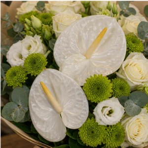 Buchete Anthurium alb cu santini verde - poza 4