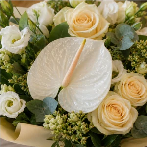 Buchete Anthurium alb cu trandafiri crem - poza 4