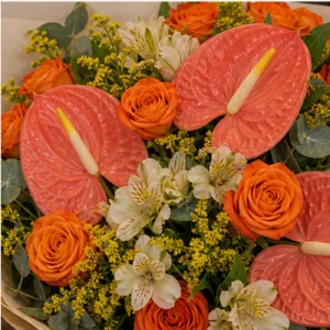 Buchete Anthurium corai cu trandafiri portocalii - poza 4