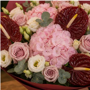 Buchete Anthurium premium burgundy cu hortensie roz - poza 4