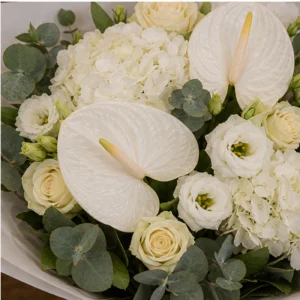 Buchete Anthurium premium cu hortensie alba - poza 4