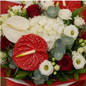 Buchete Anthurium premium rosu si alb cu hortensie - poza 4