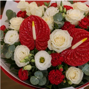 Buchete Anthurium premium rosu cu trandafiri albi - poza 4