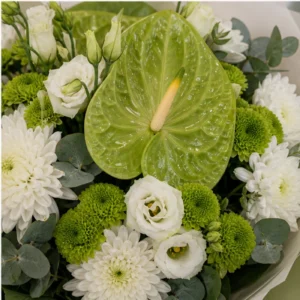 Buchete Anthurium verde cu crizanteme albe - poza 4