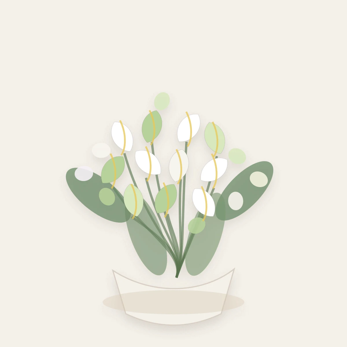 Buchete Cale premium alb-verde cu orhidee cymbidium - poza 1