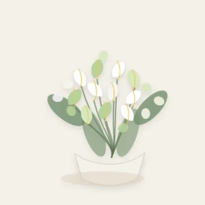 Buchete Cale premium alb-verde cu orhidee cymbidium - poza 3