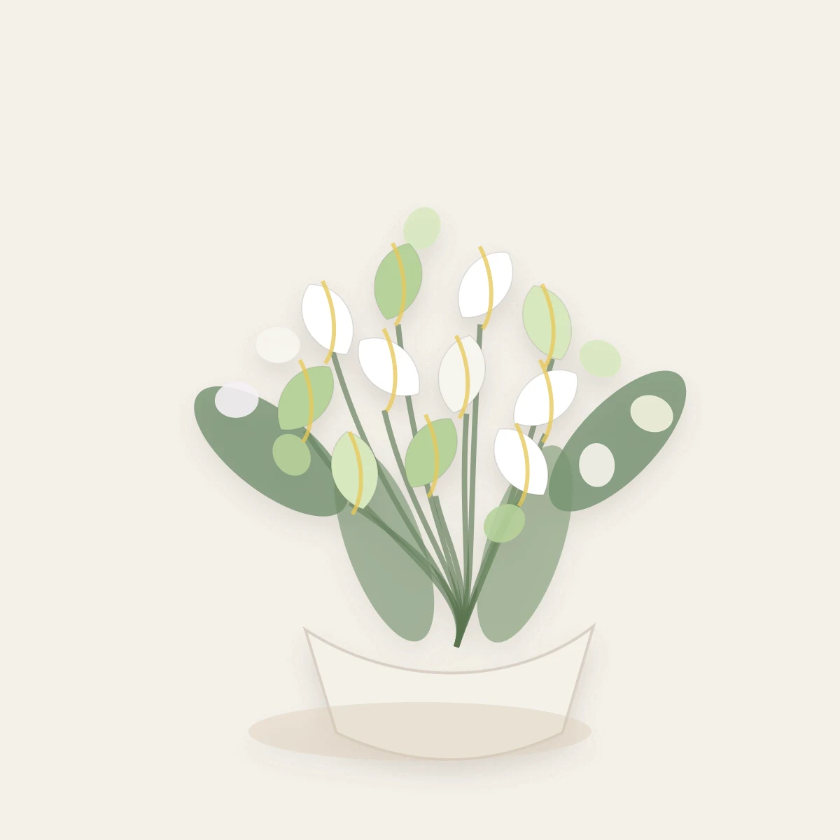 Buchete Cale premium alb-verde cu orhidee cymbidium - poza 3