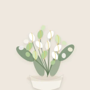Buchete Cale premium alb-verde cu orhidee cymbidium - poza 4