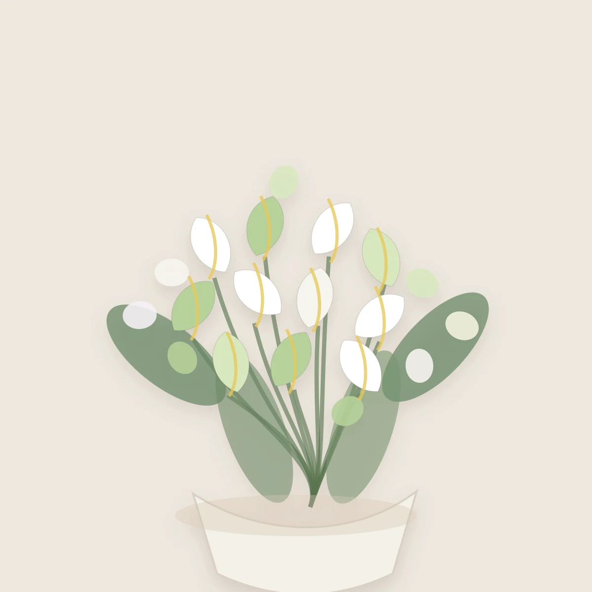 Buchete Cale premium alb-verde cu orhidee cymbidium - poza 4