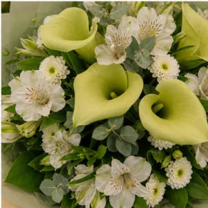 Buchete Cale verzi cu alstroemeria alba - poza 4