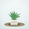 Flori de Apartament Aloe Vera Wellness Pot - imagine 1