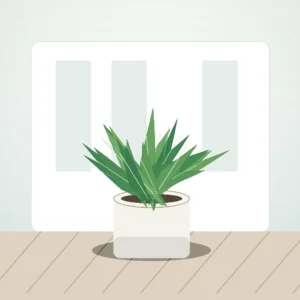 Flori de Apartament Aloe Vera Wellness Pot - imagine 3