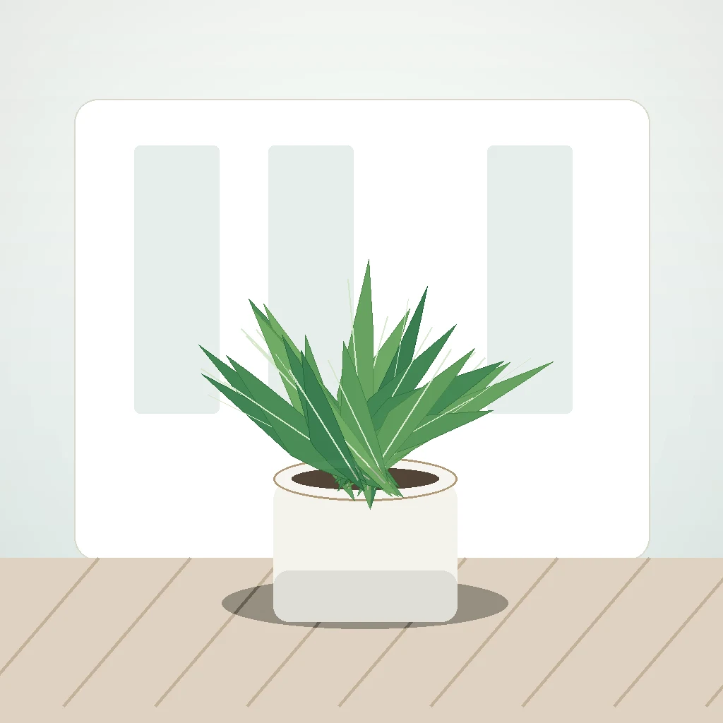 Flori de Apartament Aloe Vera Wellness Pot - imagine 3