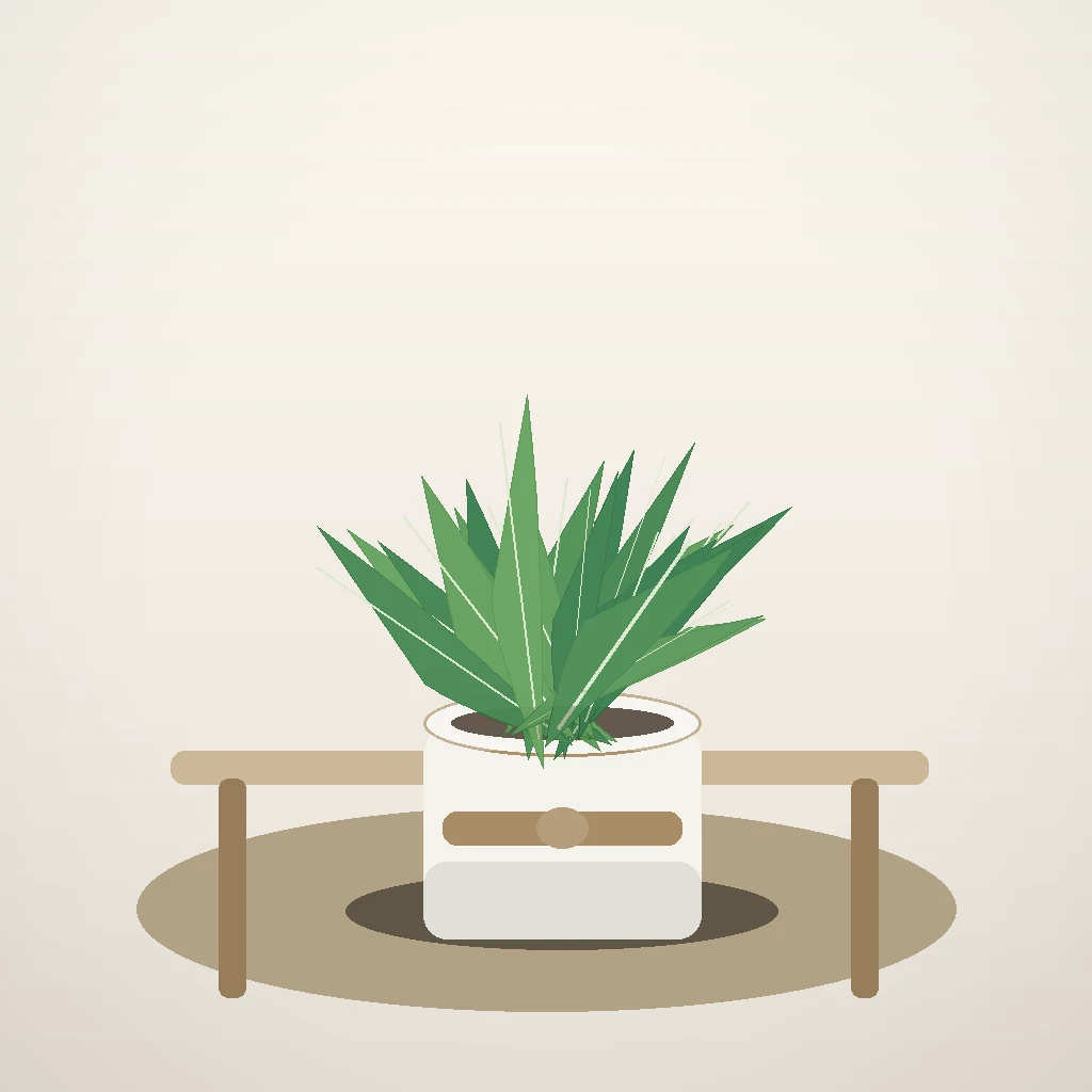 Flori de Apartament Aloe Vera Wellness Pot - imagine 4