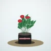 Flori de Apartament Anthurium Ruby Desk - imagine 1