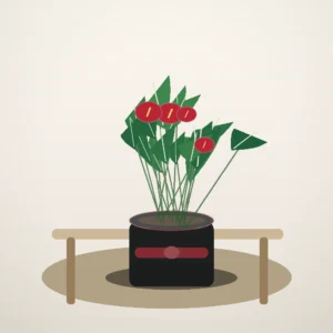 Flori de Apartament Anthurium Ruby Desk - imagine 4