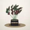 Flori de Apartament Ficus Elastica Burgundy Home - imagine 1