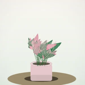 Flori de Apartament Fittonia Mosaic Mini Garden - imagine 2