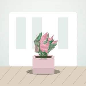 Flori de Apartament Fittonia Mosaic Mini Garden - imagine 3
