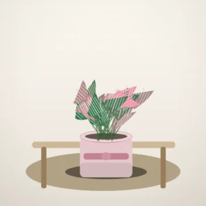 Flori de Apartament Fittonia Mosaic Mini Garden - imagine 4
