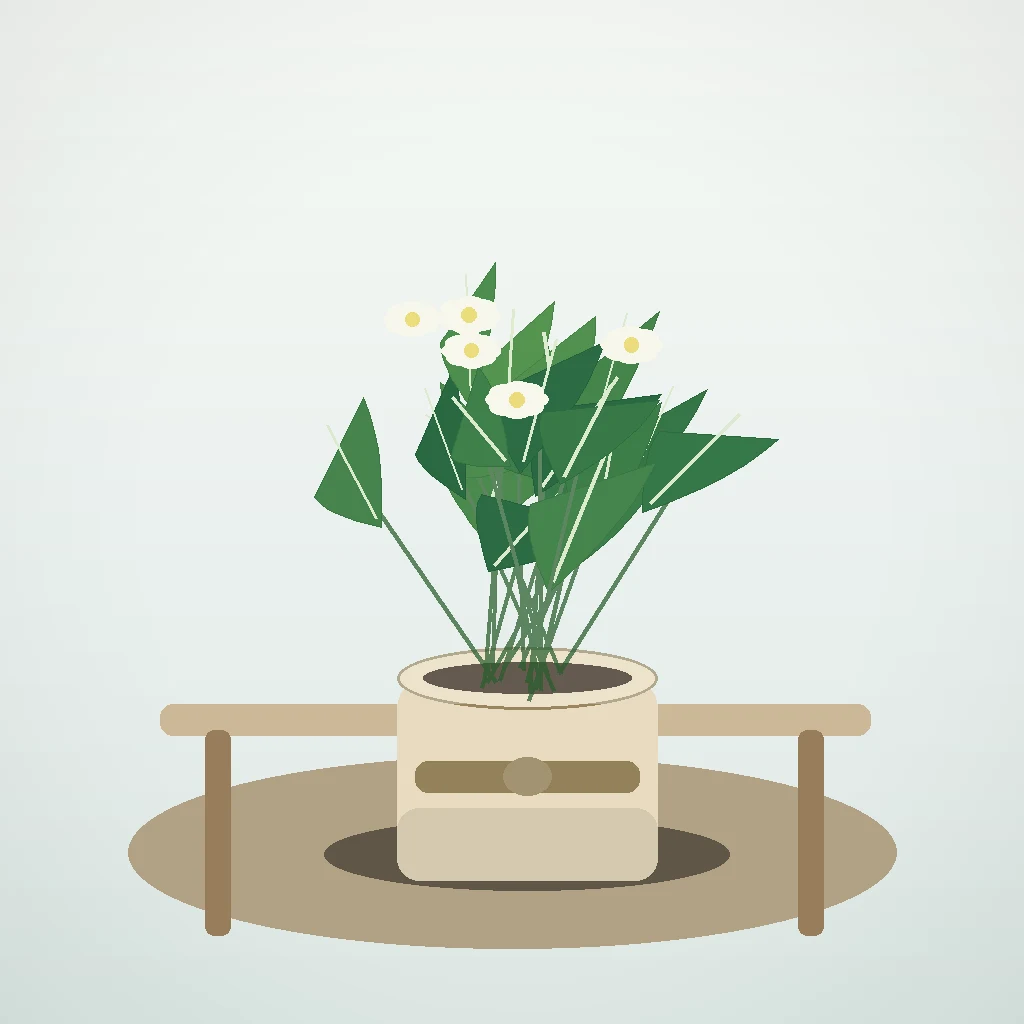 Flori de Apartament Gardenia Parfum de Cameră - imagine 4