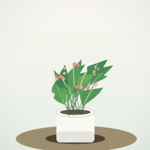 Flori de Apartament Kalanchoe Bloom Mix - imagine 2