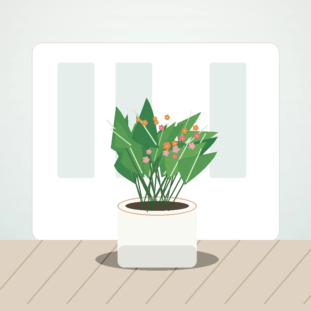 Flori de Apartament Kalanchoe Bloom Mix - imagine 3
