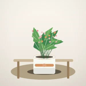 Flori de Apartament Kalanchoe Bloom Mix - imagine 4
