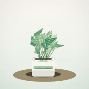Flori de Apartament Peperomia Watermelon Fresh Desk - imagine 1