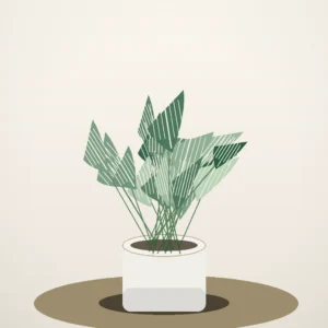 Flori de Apartament Philodendron Birkin Urban Leaf - imagine 2