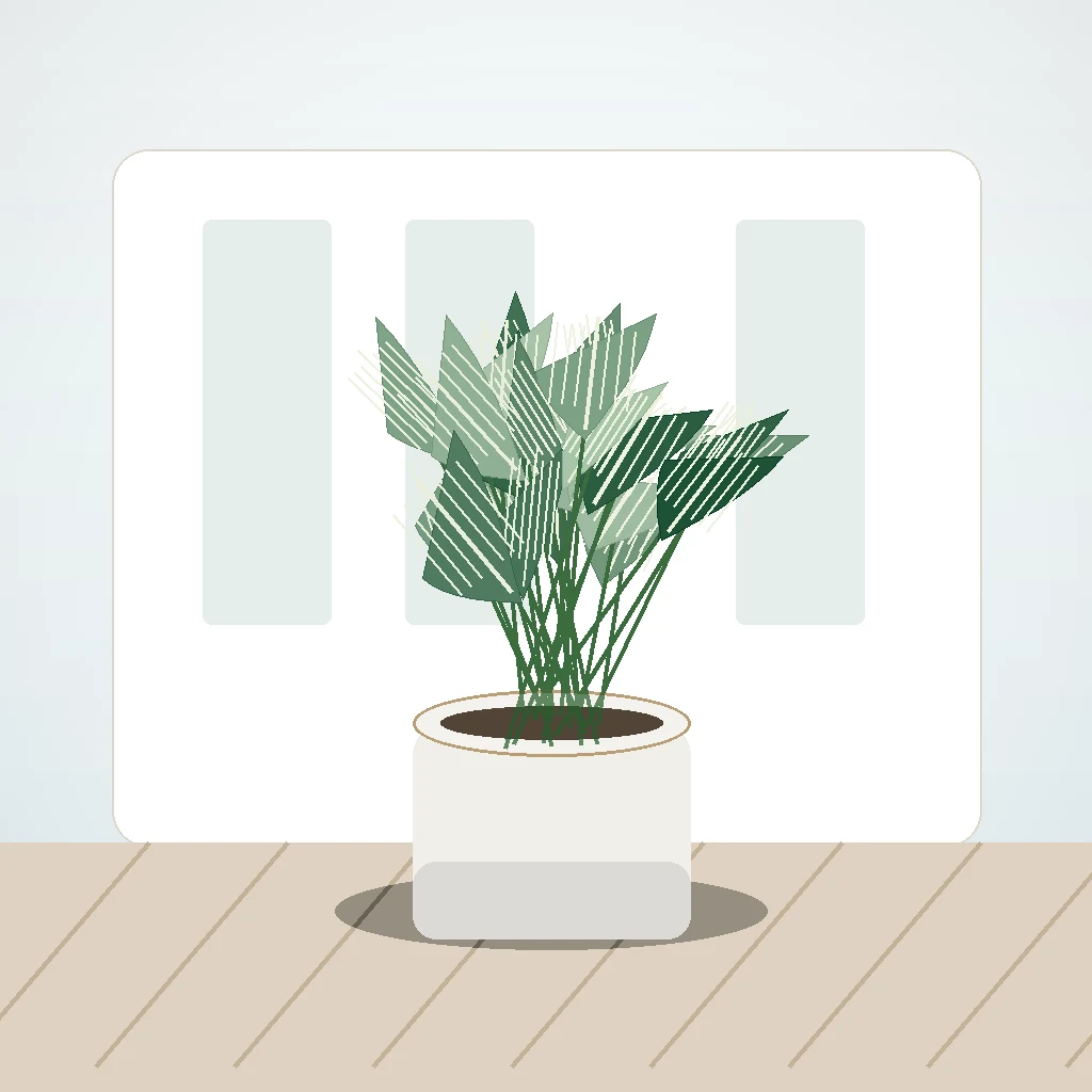 Flori de Apartament Philodendron Birkin Urban Leaf - imagine 3