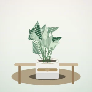 Flori de Apartament Philodendron Birkin Urban Leaf - imagine 4