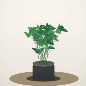 Flori de Apartament Zamioculcas Zen Office - imagine 2